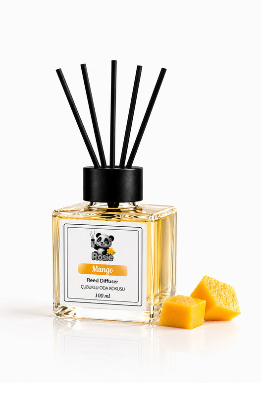 Mango Çubuklu Oda Kokusu 100 ml