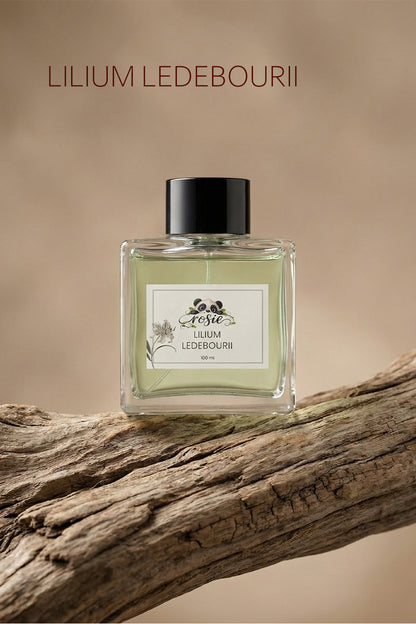 Rosie Lilium Ledebourii Çubuklu Oda Kokusu 100 ml – Lilyum Çiçeği Ferahlığı