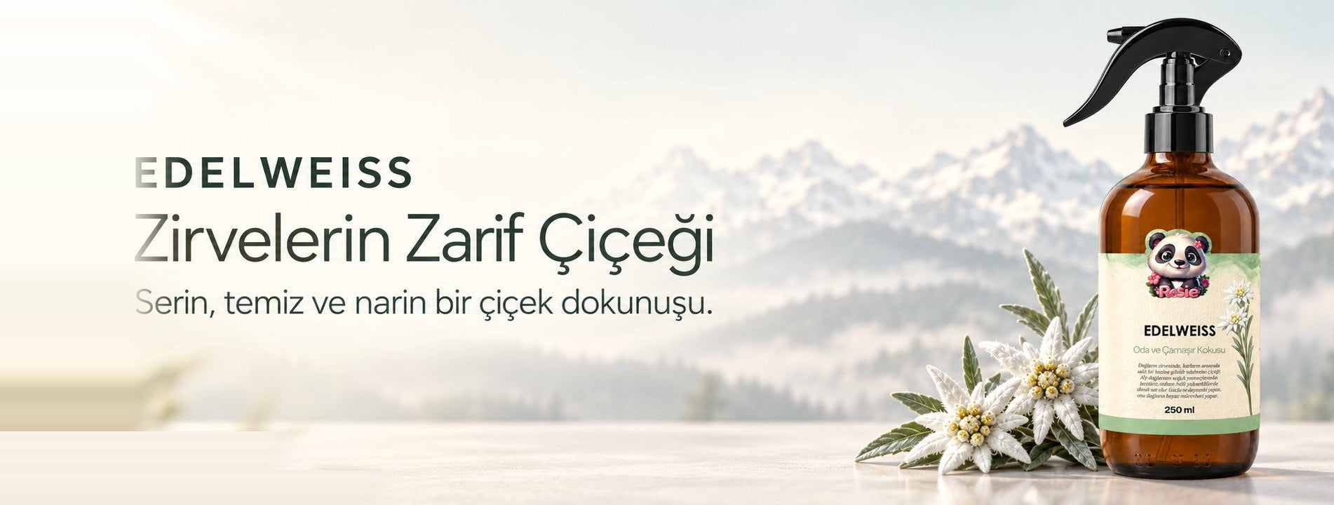 Edelweiss. Zirvelerin Zarif Çiçeği. Serin, temiz ve narin bir çiçek dokunuşu.